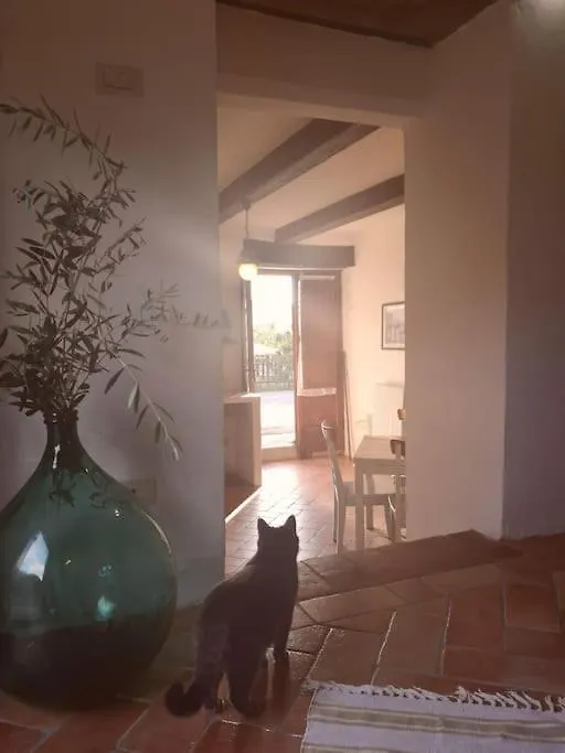 Fantastic Apartment In The Heart Of Toscana Castiglion Fiorentino Italy